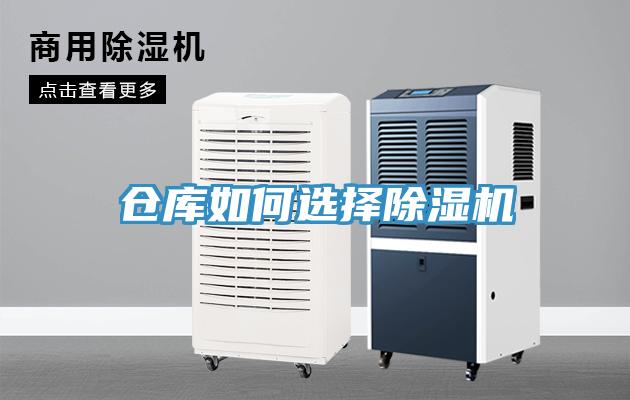 倉庫如何選擇草莓污视频在线看