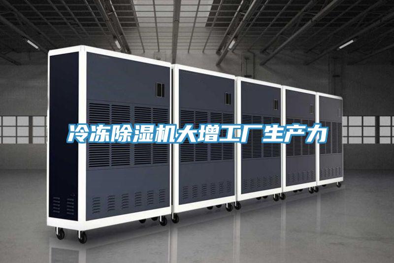 冷凍草莓污视频在线看大增工廠生產力