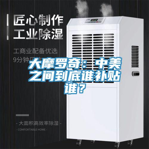 大摩羅奇：中美之間到底誰補貼誰？