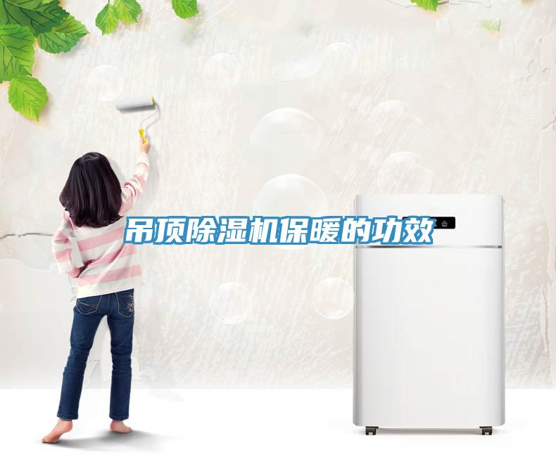 吊頂草莓污视频在线看保暖的功效