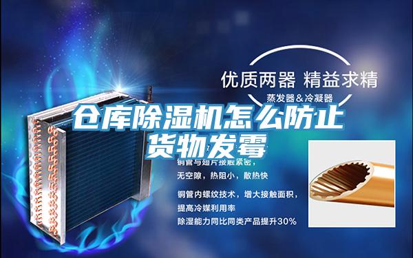 倉庫草莓污视频在线看怎麽防止貨物發黴