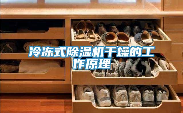 冷凍式草莓污视频在线看幹燥的工作原理