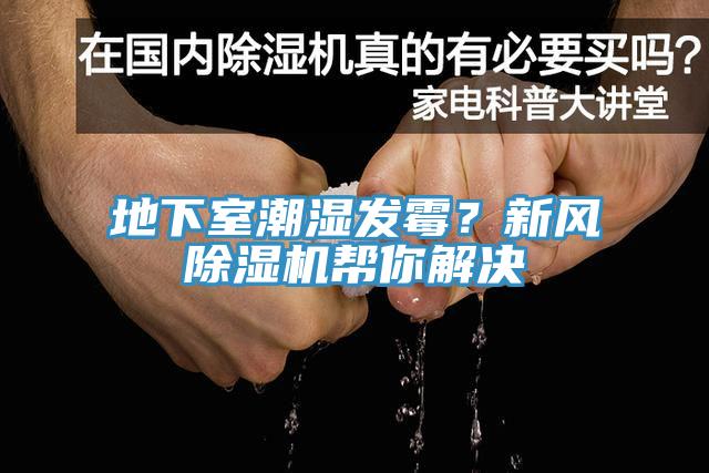 地下室潮濕發黴？新風草莓污视频在线看幫你解決