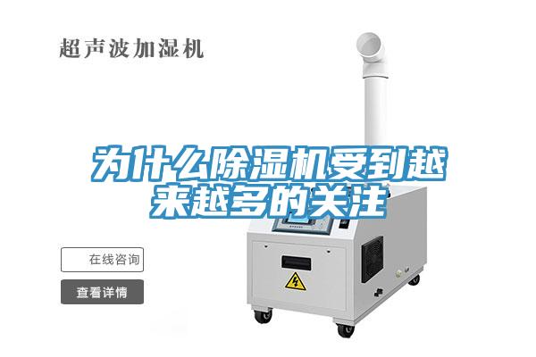為什麽草莓污视频在线看受到越來越多的關注