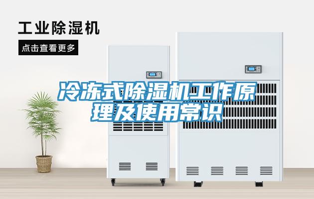 冷凍式草莓污视频在线看工作原理及使用常識