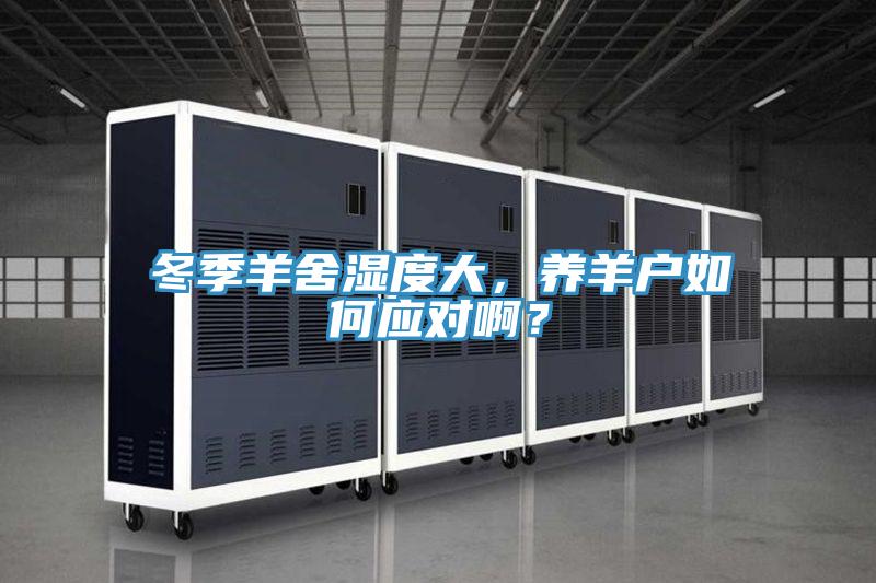 冬季羊舍濕度大，養羊戶如何應對啊？