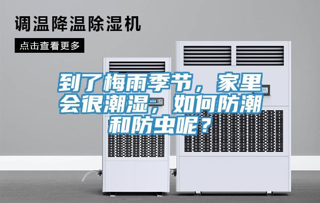 到了梅雨季節，家裏會很潮濕，如何防潮和防蟲呢？