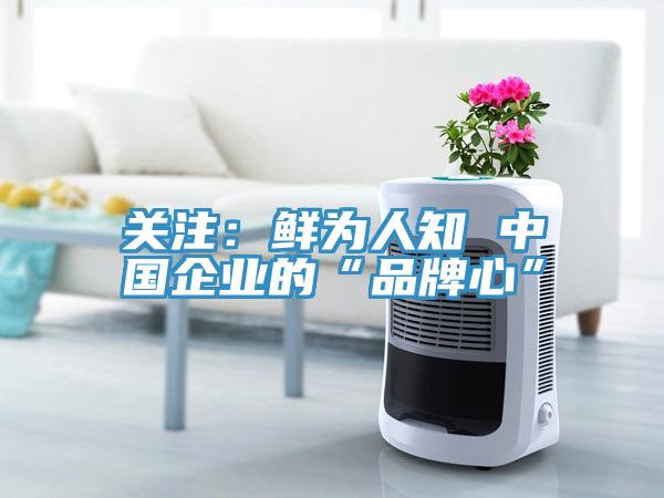 關注：鮮為人知 中國企業的“品牌心”