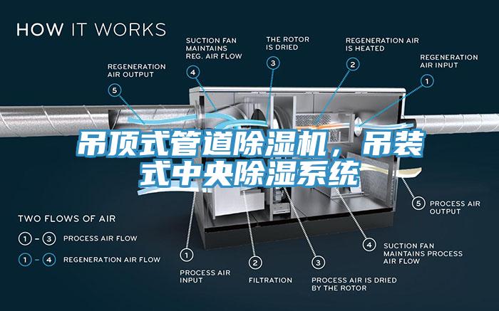 吊頂式管道草莓污视频在线看，吊裝式中央除濕係統
