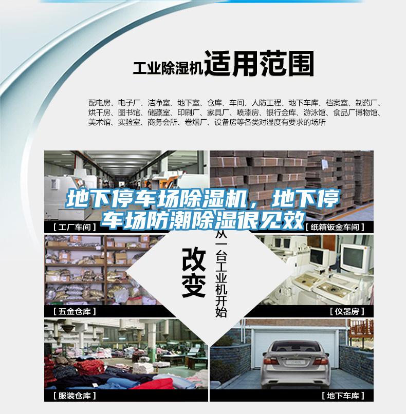 地下停車場草莓污视频在线看，地下停車場防潮除濕很見效