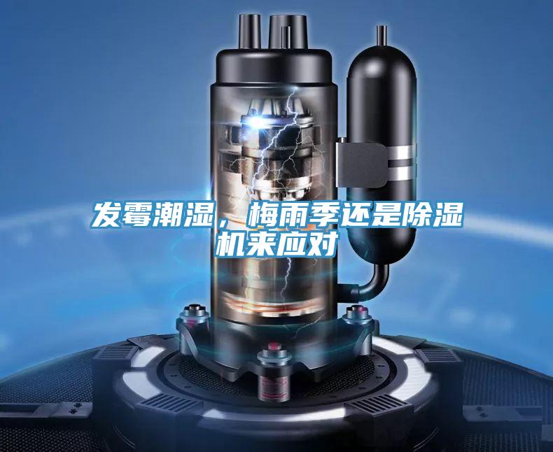 發黴潮濕，梅雨季還是草莓污视频在线看來應對