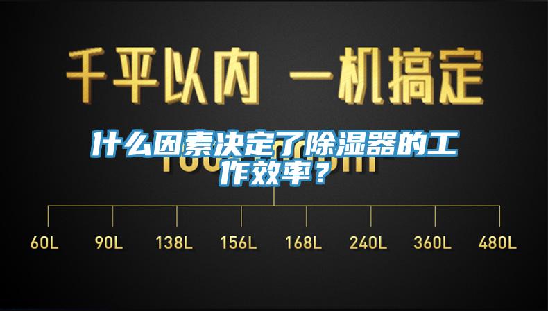 什麽因素決定了除濕器的工作效率？