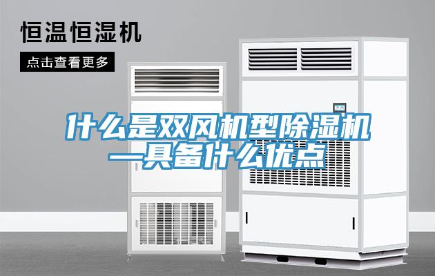 什麽是雙風機型草莓污视频在线看—具備什麽優點