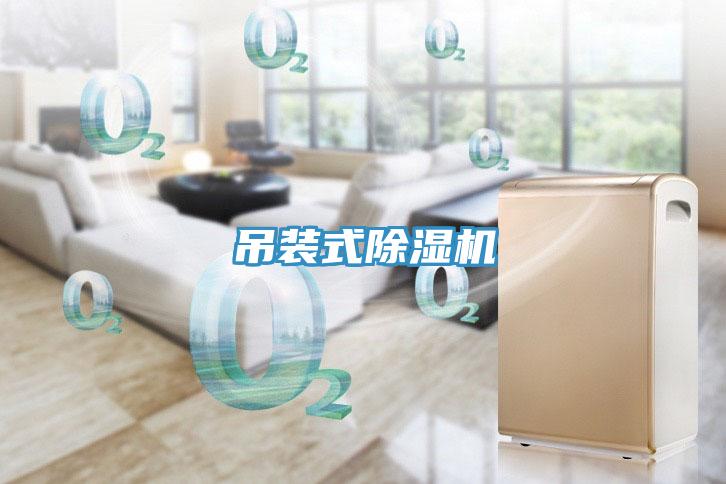 吊裝式草莓污视频在线看
