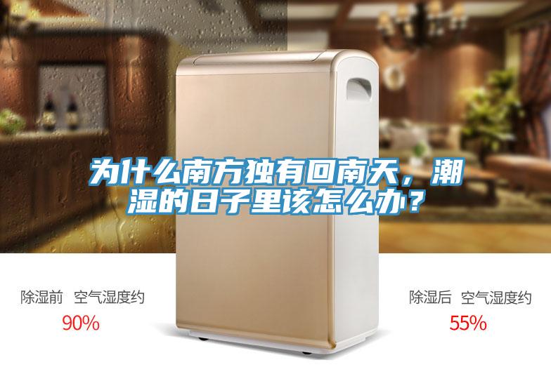 為什麽南方獨有回南天，潮濕的日子裏該怎麽辦？