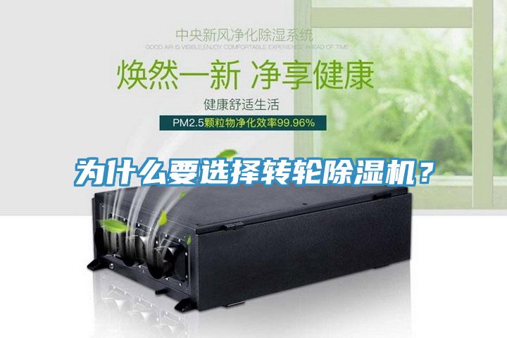 為什麽要選擇轉輪草莓污视频在线看？