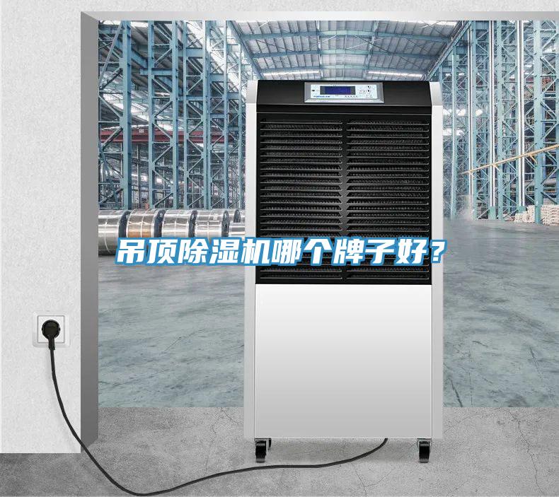 吊頂草莓污视频在线看哪個牌子好？