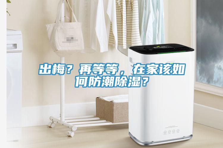 出梅？再等等，在家該如何防潮除濕？