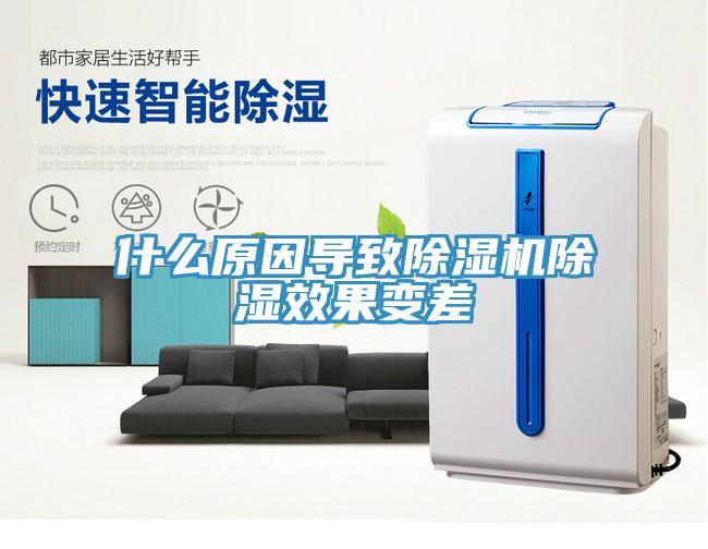 什麽原因導致草莓污视频在线看除濕效果變差