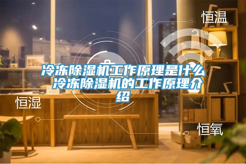 冷凍草莓污视频在线看工作原理是什麽 冷凍草莓污视频在线看的工作原理介紹