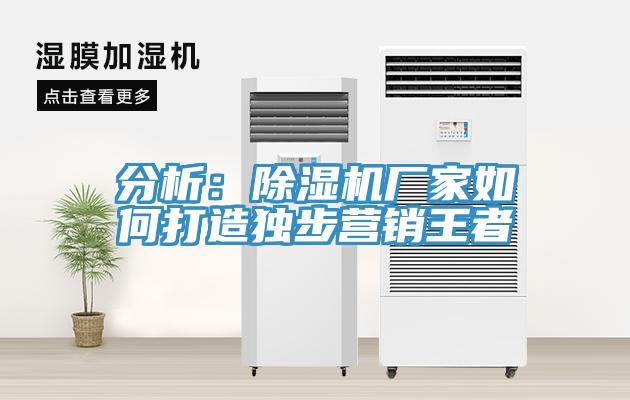 分析：草莓污视频在线看廠家如何打造獨步營銷王者