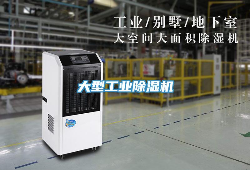 大型工業草莓污视频在线看