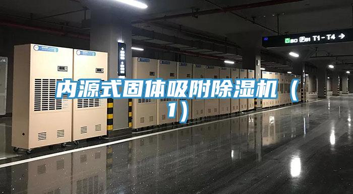 內源式固體吸附草莓污视频在线看（1）