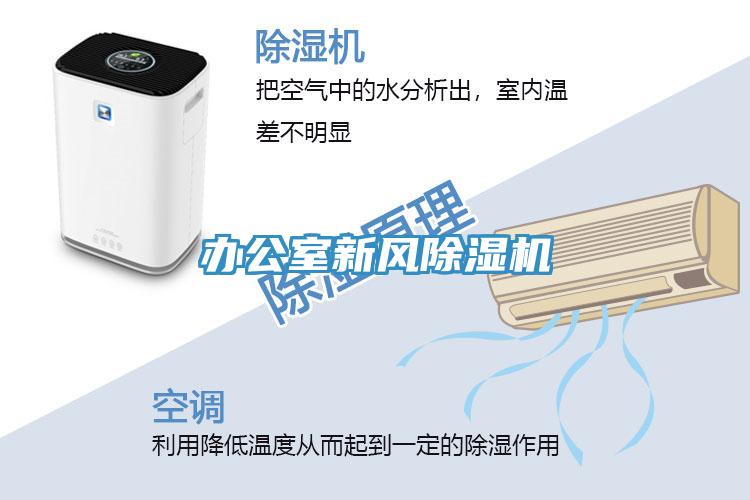 辦公室新風草莓污视频在线看