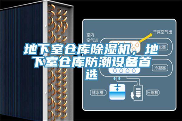 地下室倉庫草莓污视频在线看，地下室倉庫防潮設備首選