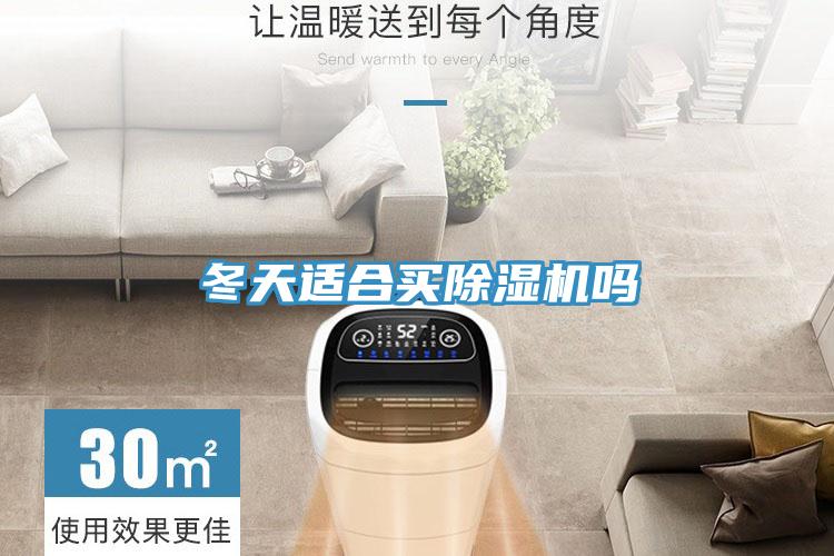 冬天適合買草莓污视频在线看嗎