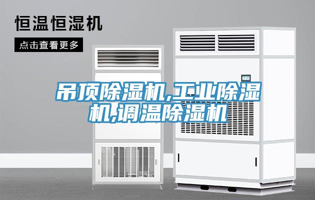吊頂草莓污视频在线看,工業草莓污视频在线看,調溫草莓污视频在线看