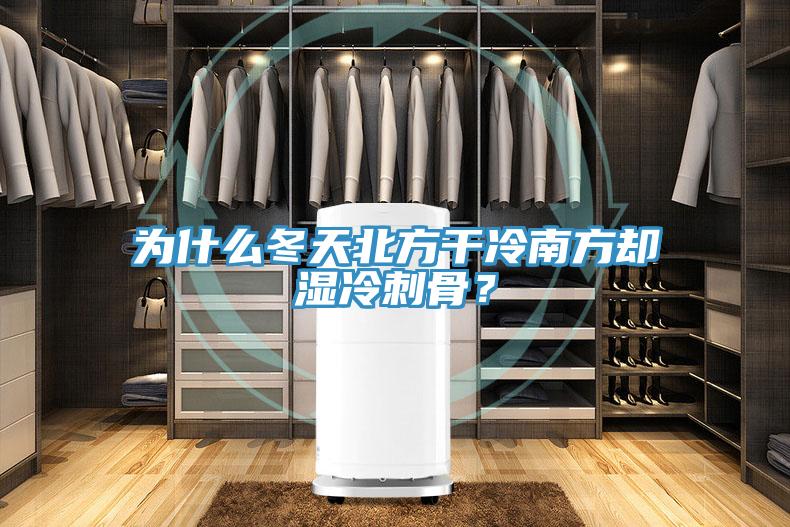 為什麽冬天北方幹冷南方卻濕冷刺骨？