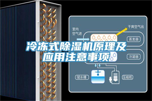 冷凍式草莓污视频在线看原理及應用注意事項