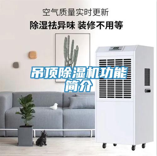 吊頂草莓污视频在线看功能簡介