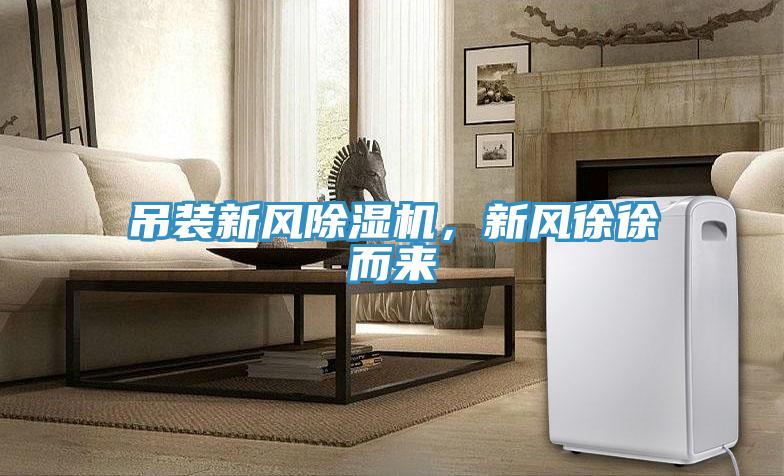 吊裝新風草莓污视频在线看，新風徐徐而來