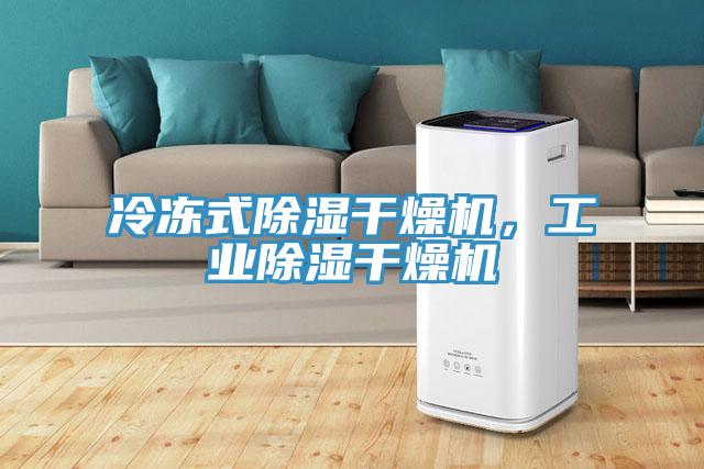 冷凍式除濕幹燥機，工業除濕幹燥機