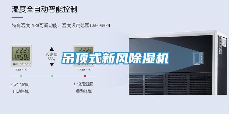 吊頂式新風草莓污视频在线看