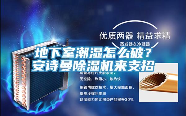 地下室潮濕怎麽破？草莓视频性福宝草莓污视频在线看來支招
