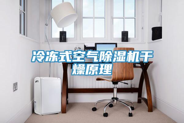 冷凍式空氣草莓污视频在线看幹燥原理