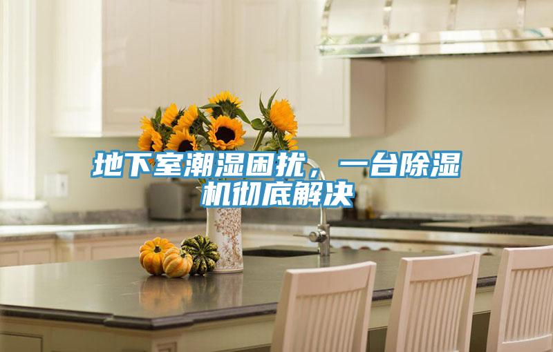地下室潮濕困擾，一台草莓污视频在线看徹底解決
