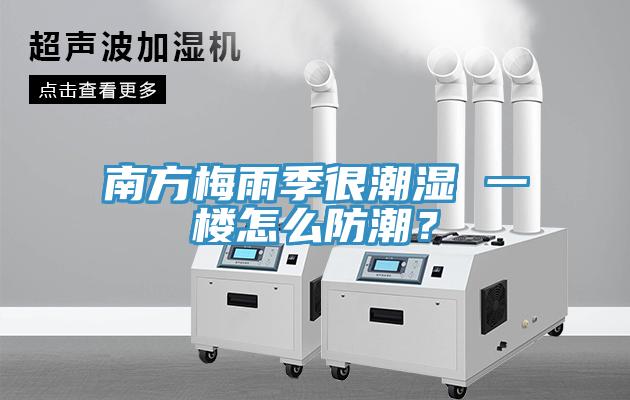 南方梅雨季很潮濕 一樓怎麽防潮？
