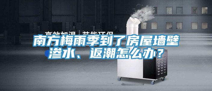 南方梅雨季到了房屋牆壁滲水、返潮怎麽辦？