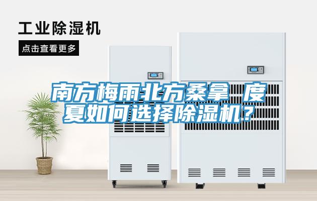 南方梅雨北方桑拿 度夏如何選擇草莓污视频在线看？