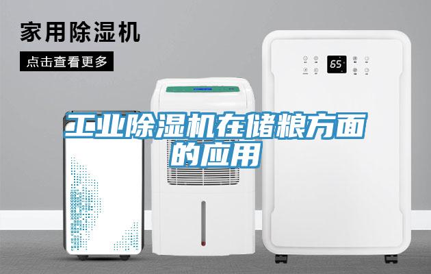 工業草莓污视频在线看在儲糧方麵的應用