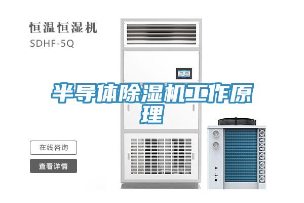 半導體草莓污视频在线看工作原理