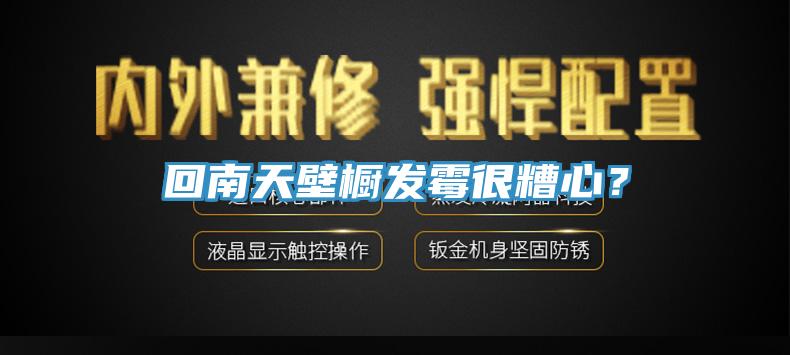 回南天壁櫥發黴很糟心？