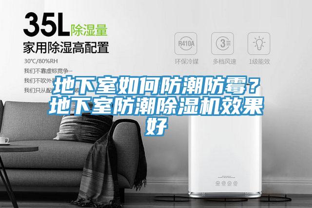 地下室如何防潮防黴？地下室防潮草莓污视频在线看效果好