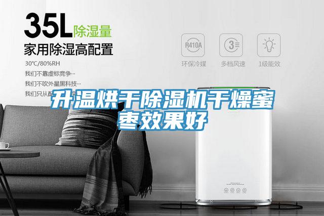 升溫烘幹草莓污视频在线看幹燥蜜棗效果好