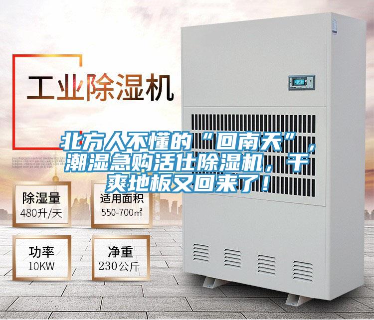 北方人不懂的“回南天”，潮濕急購活仕草莓污视频在线看，幹爽地板又回來了！