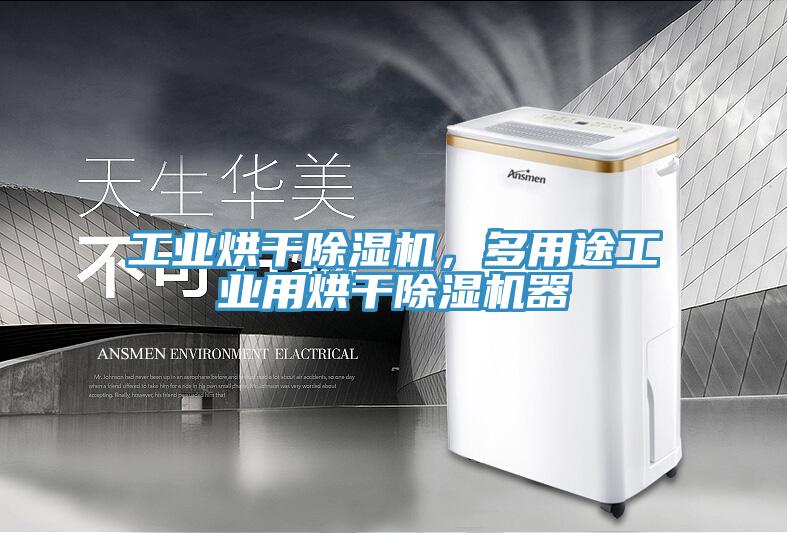 工業烘幹草莓污视频在线看，多用途工業用烘幹草莓污视频在线看器